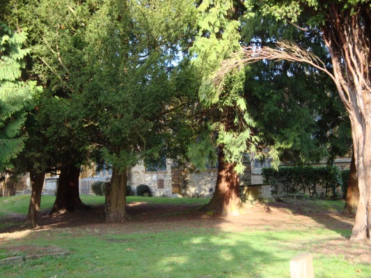 St Lawrence Churchyard